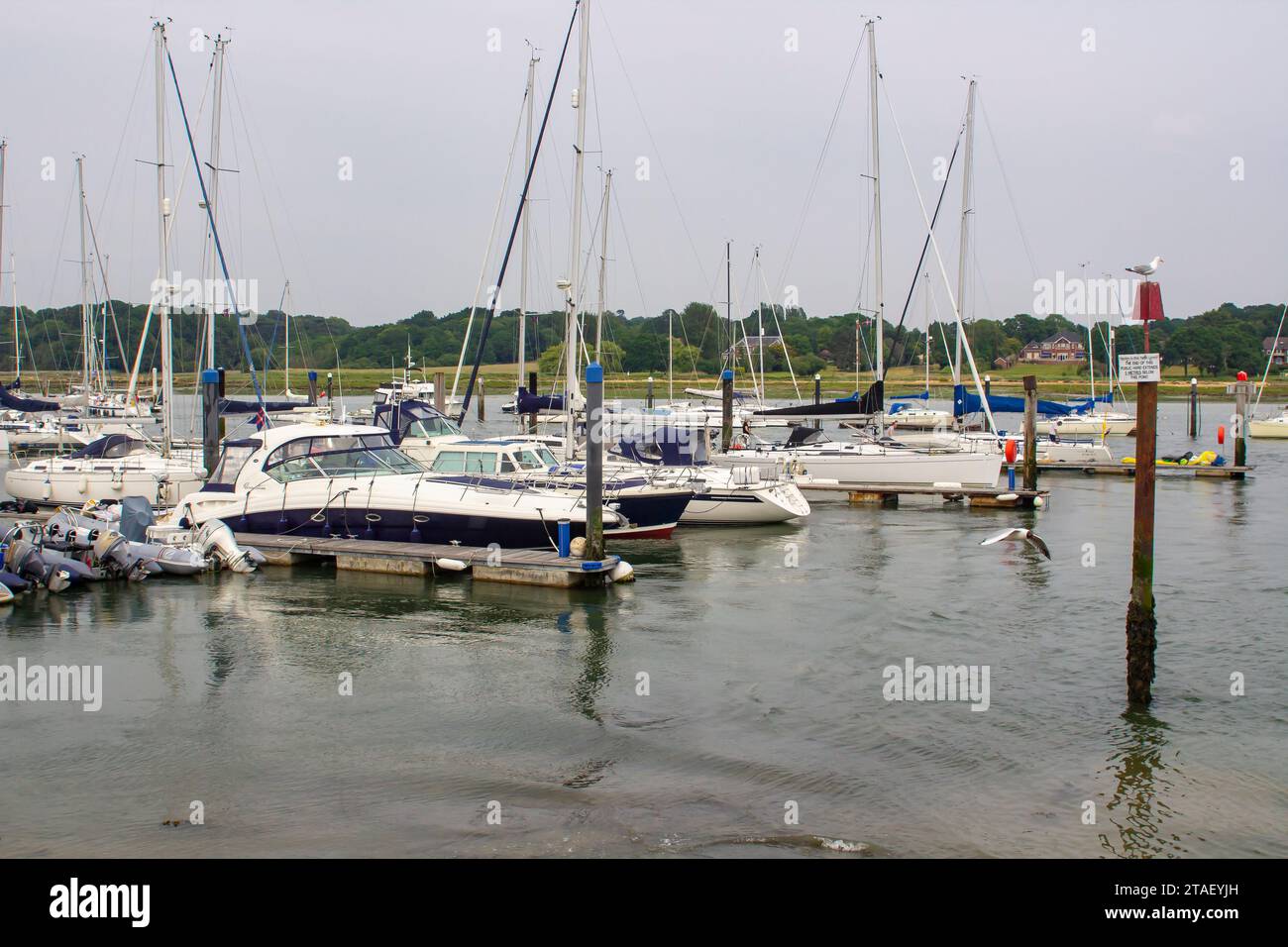 17 giugno 2023 imbarcazioni da diporto ormeggiate nella Marina sul fiume Hamble a Hamble, nel sud dell'Inghilterra, contea dell'Hampshire. Foto Stock