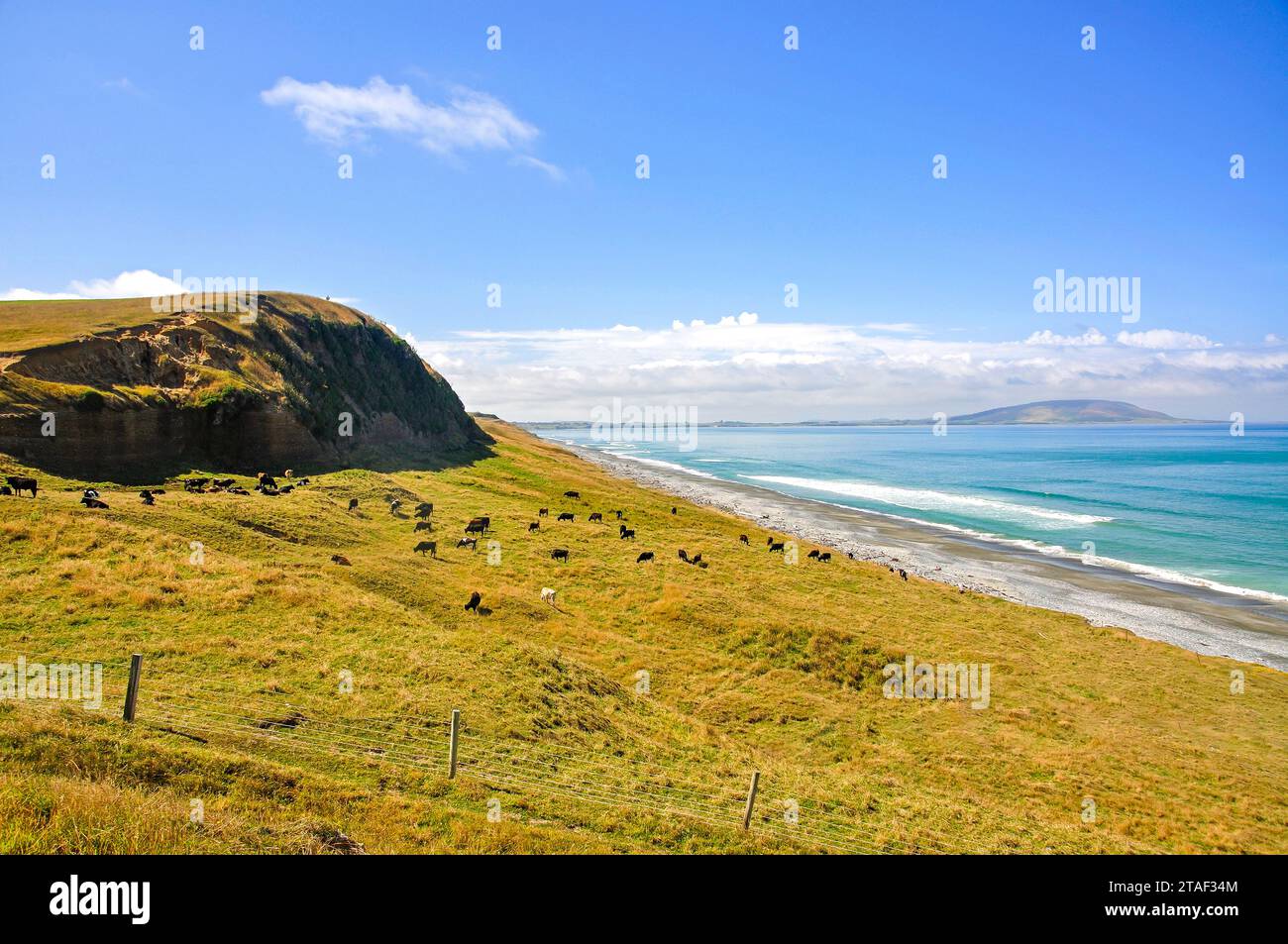 Resto McCrackens lookout costiere off meridionale itinerario panoramico, Te Waewae Bay, Isola del Sud, Nuova Zelanda Foto Stock