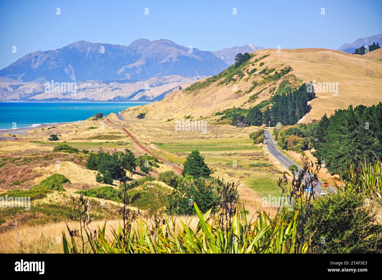 Autostrada statale 1, Kaikoura Coast, Kaikoura, regione di Canterbury, Isola del Sud, Nuova Zelanda Foto Stock