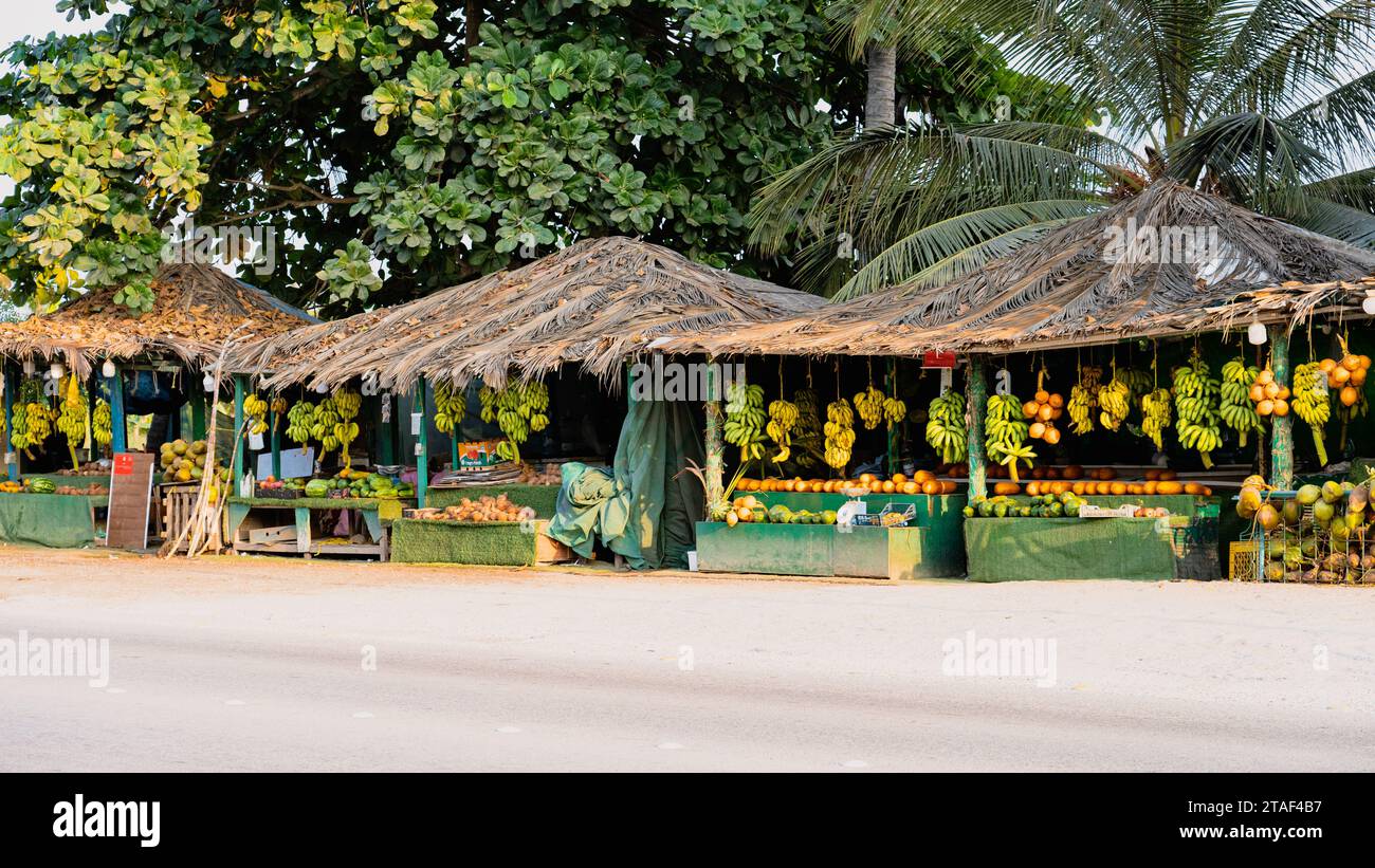 Salalalah, Oman - novembre 11,2023: Venditori di frutta in Sultan Qaboos Street a salalah, oman, Governatorato del Dhofar Foto Stock