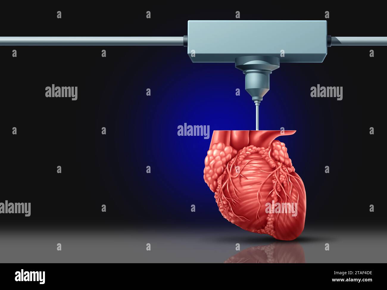 Stampa di parti del corpo e bioprinting 3D come medicina rigenerativa e ingegneria dei tessuti della rinoplastica ricostruttiva come bioprint di organi. Foto Stock