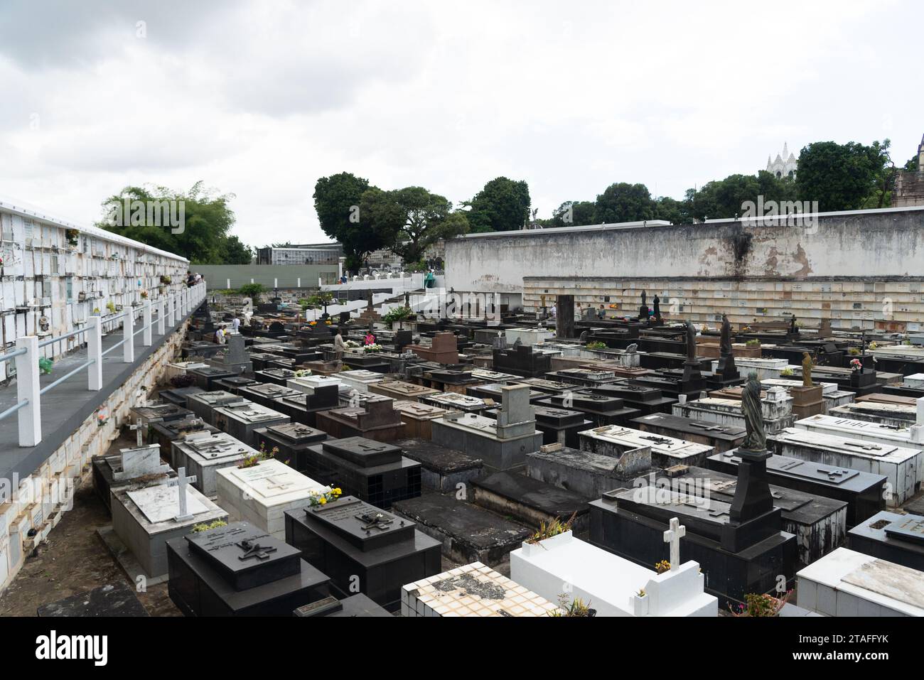 Salvador, Bahia, Brasile - 02 novembre 2023: Veduta delle tombe nel cimitero di campo Santo nella città di Salvador, Bahia. Foto Stock