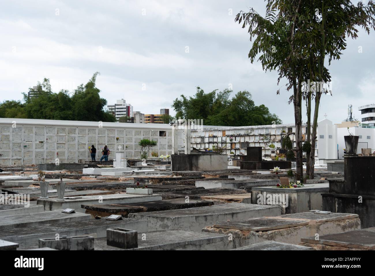Salvador, Bahia, Brasile - 02 novembre 2023: Cassetti di sepoltura nel cimitero di campo Santo nella città di Salvador, Bahia. Foto Stock