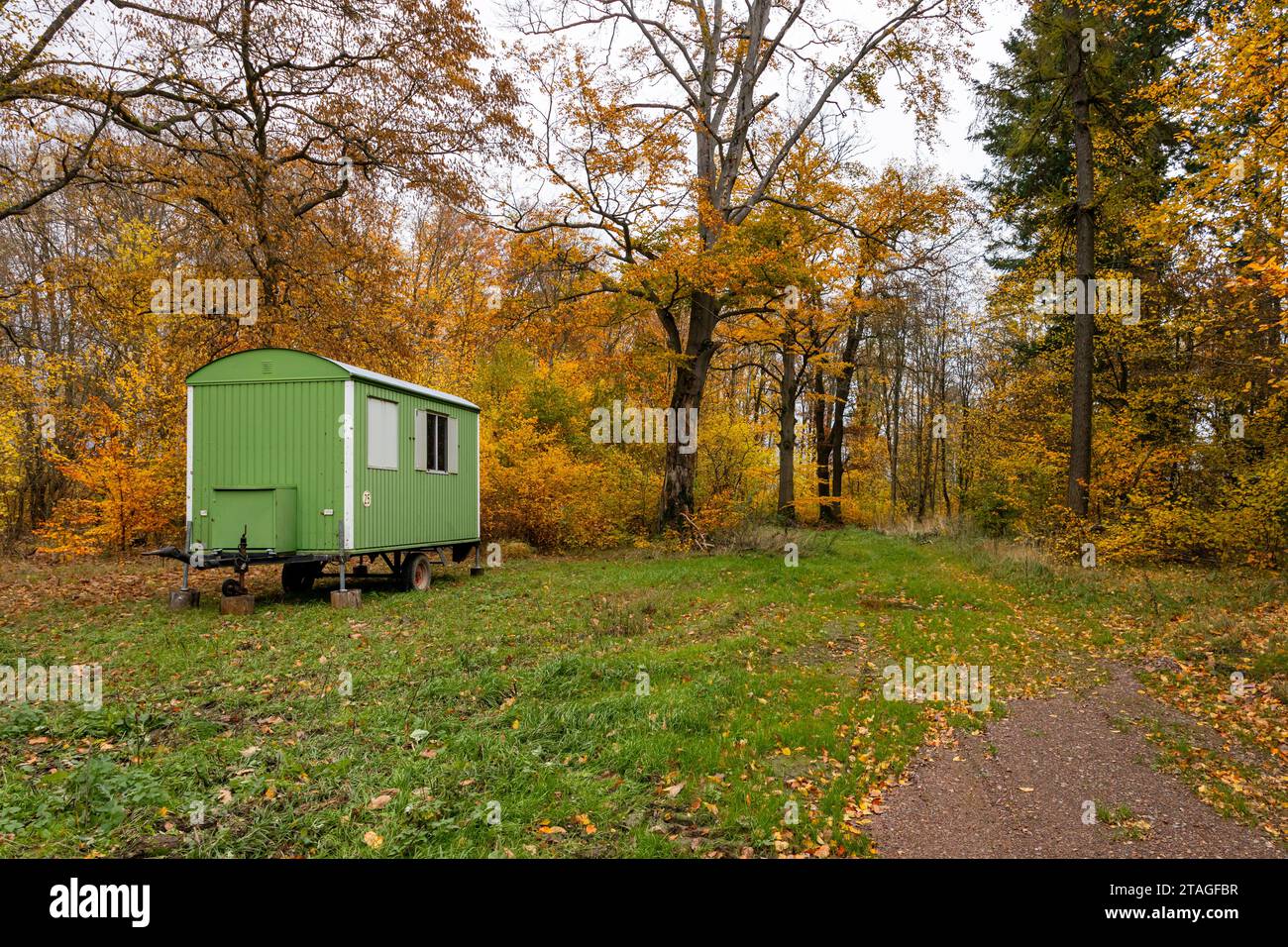 Bauwagen im Wald auf Waldlichtung Foto Stock