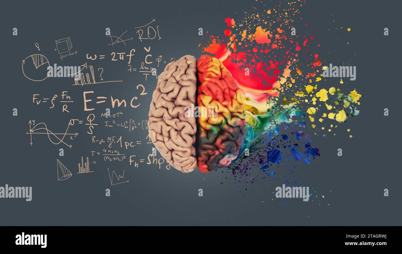 Concetto di cervello umano sinistro destro. Parte creativa e parte logica con parte sociale e aziendale. Il cervello creativo dell'arte esplode con schizzi di vernice. Mathema Foto Stock