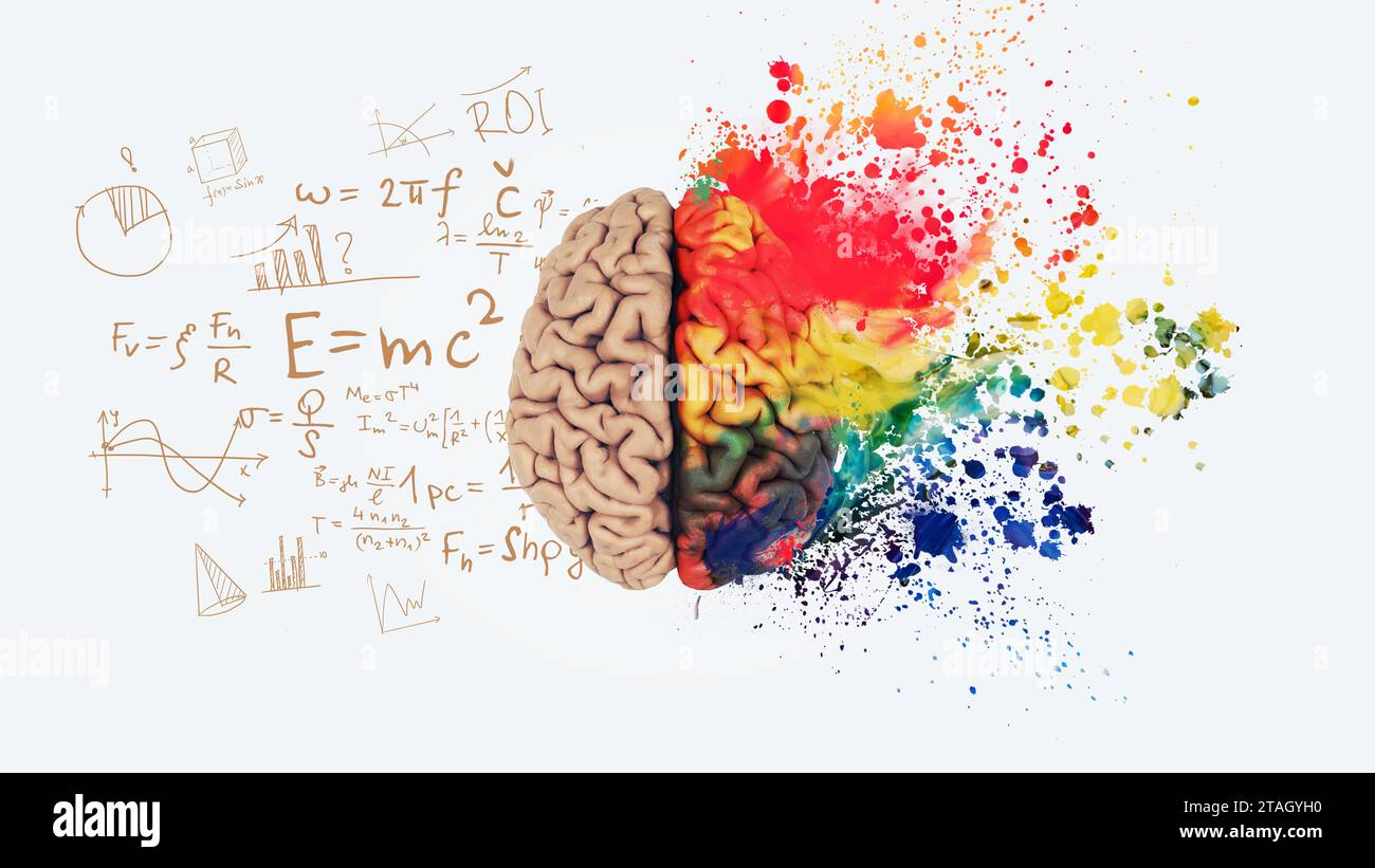 Cervello. Concetto di cervello umano sinistro destro. Parte creativa e parte logica con parte sociale e aziendale. Il cervello creativo dell'arte esplode con schizzi di vernice. Foto Stock