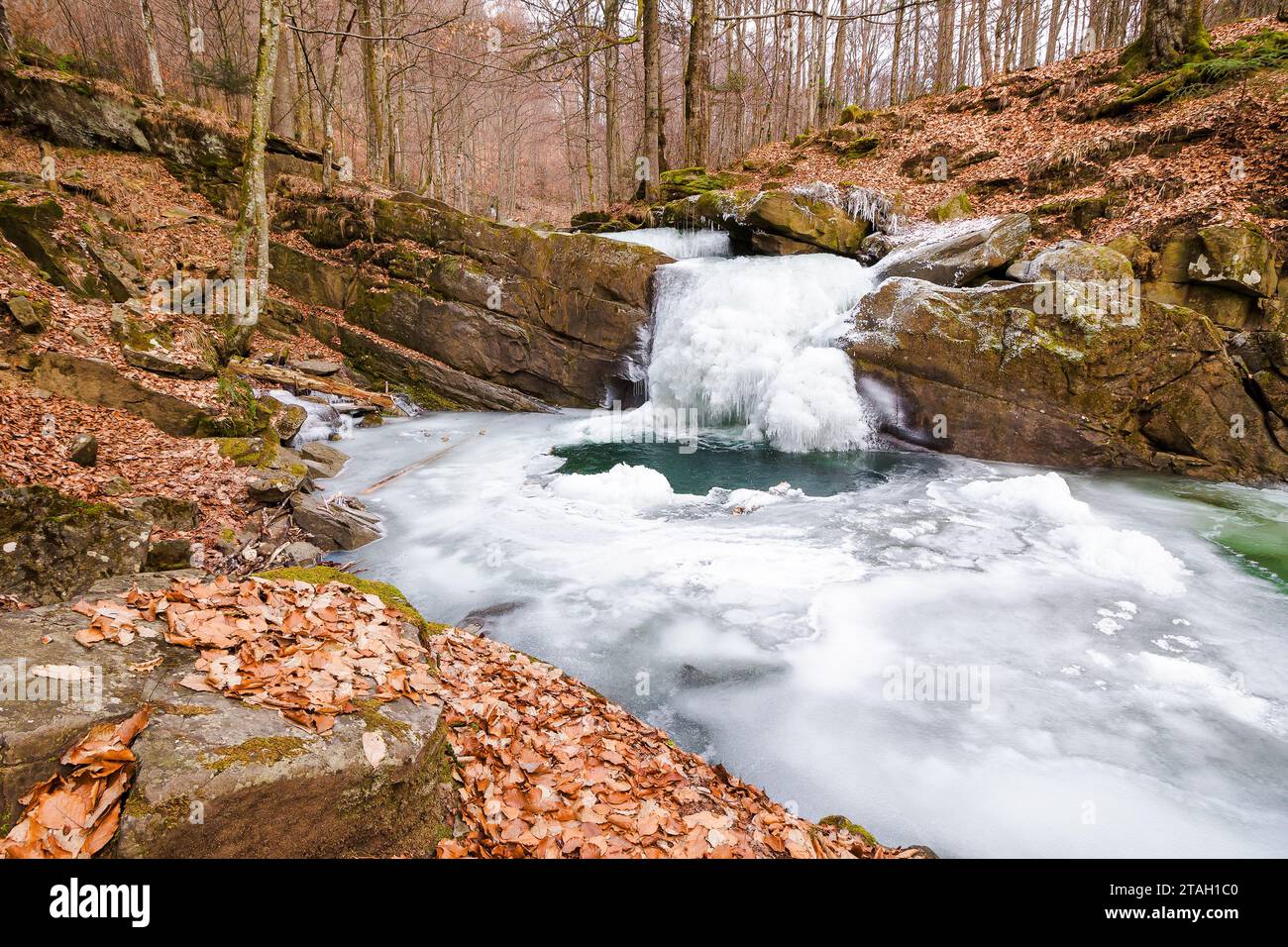 cascata congelata di un ruscello della foresta fuori dalla roccia. paesaggio invernale ghiacciato ma senza neve di faggi primordiali dei carpazi Foto Stock