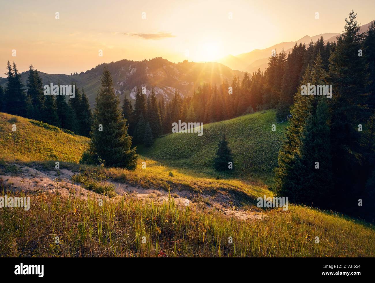 Splendida alba luminosa con il sole splendente, la vetta delle montagne con abete rosso della foresta ad Almaty, Kazakistan. Attività all'aperto ed escursioni Foto Stock
