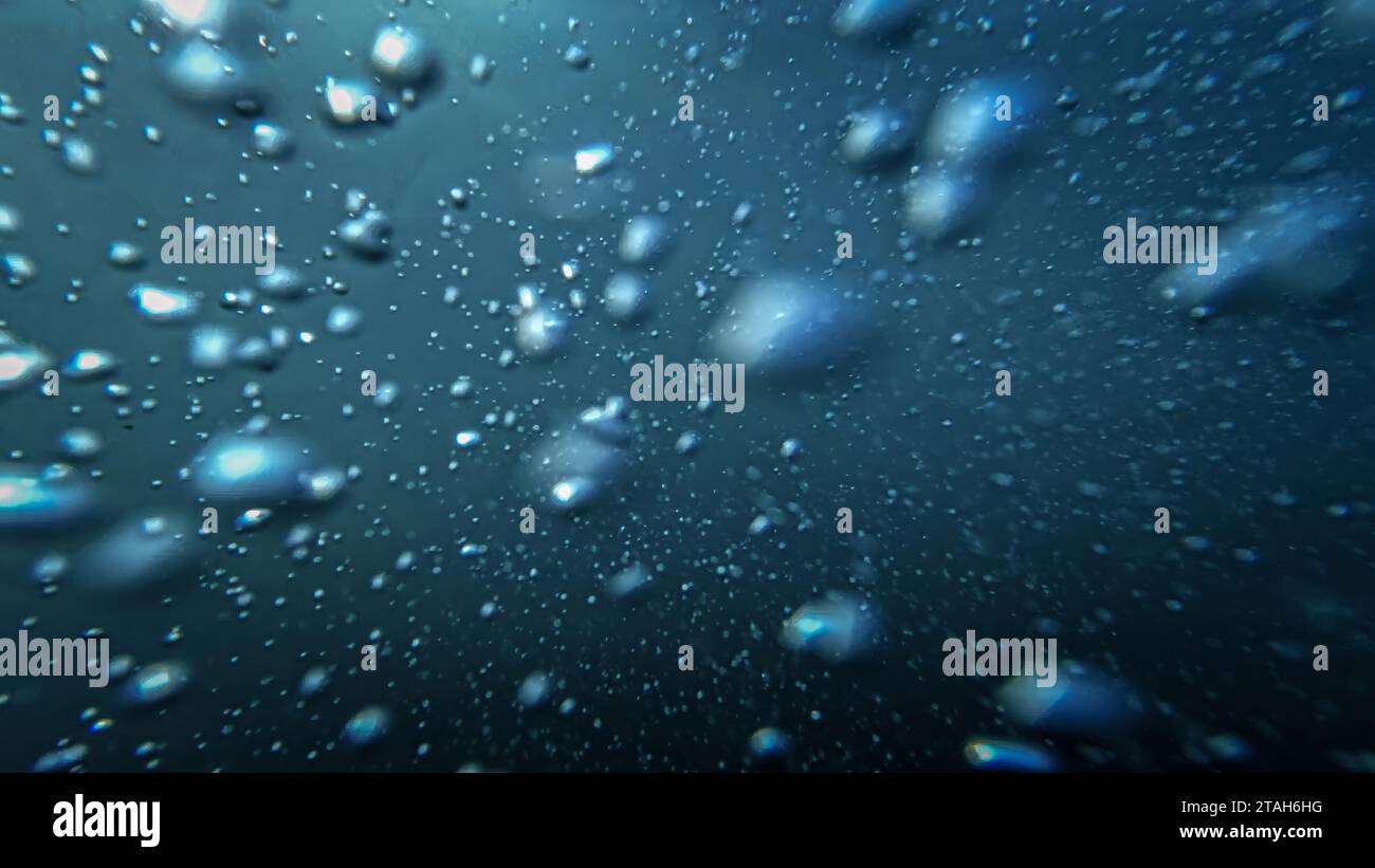 Le bolle d'aria si innalzano dal fondo del mare alla superficie dell'acqua, splendidamente illuminate dalla luce del sole. Ideale per uno sfondo naturale astratto. Foto Stock