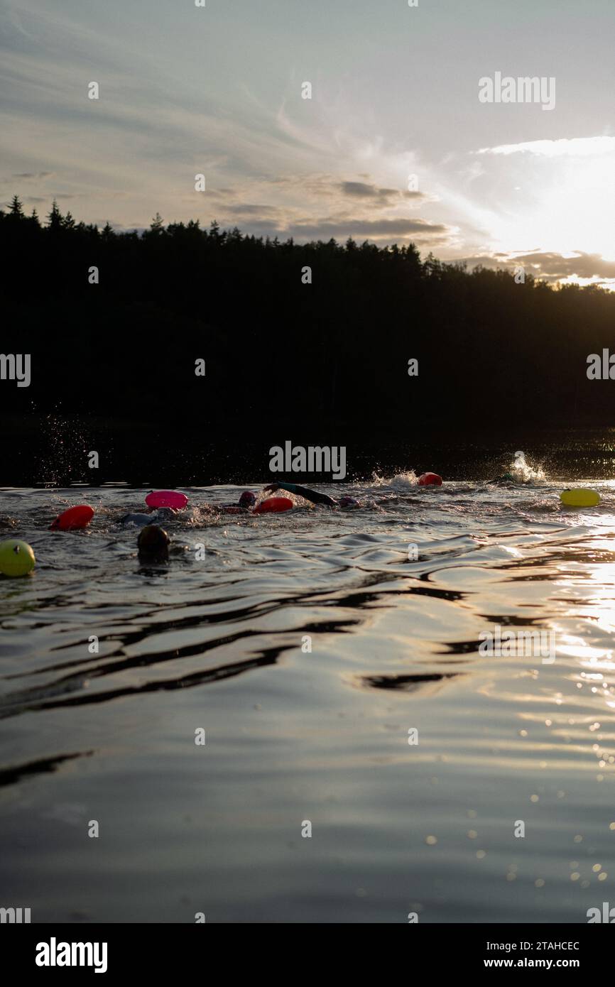 Nuotatore professionista in muta nuota in mare aperto su un lago. Foto Stock