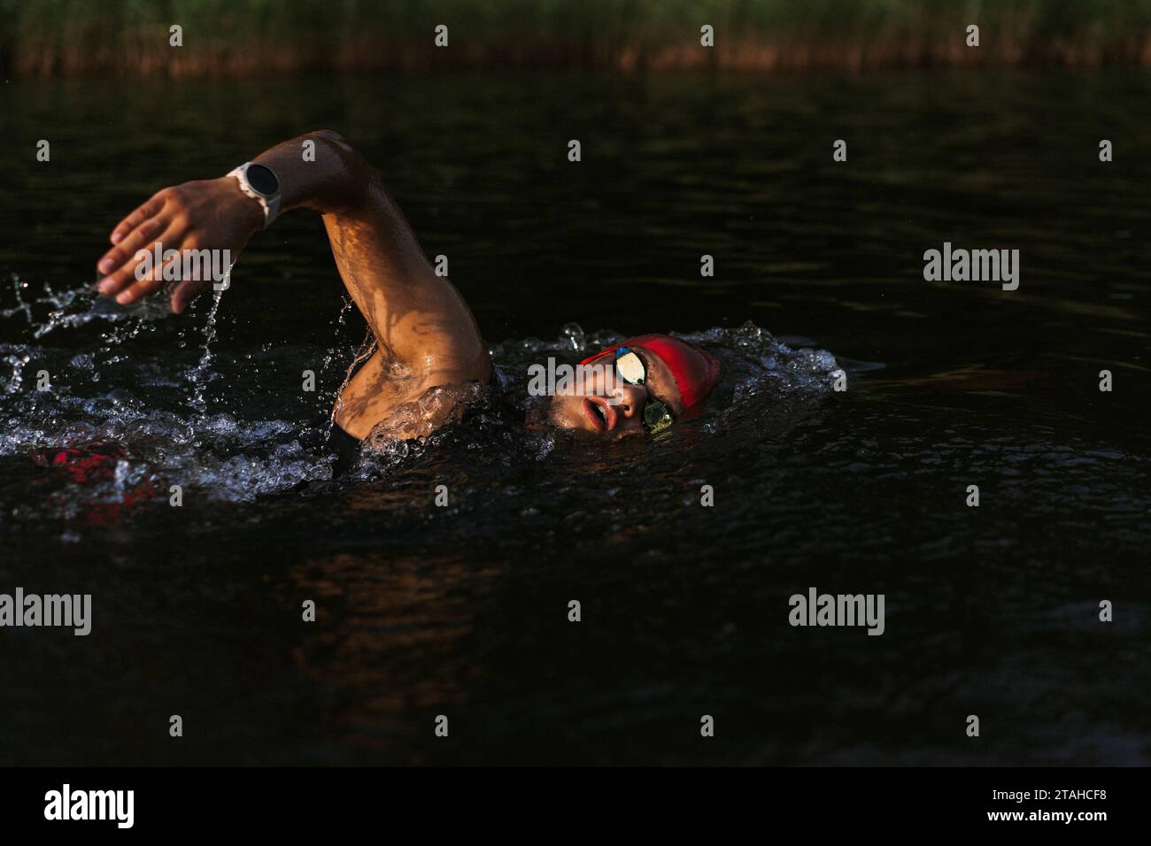 Nuotatore professionista in muta nuota in mare aperto su un lago. Foto Stock