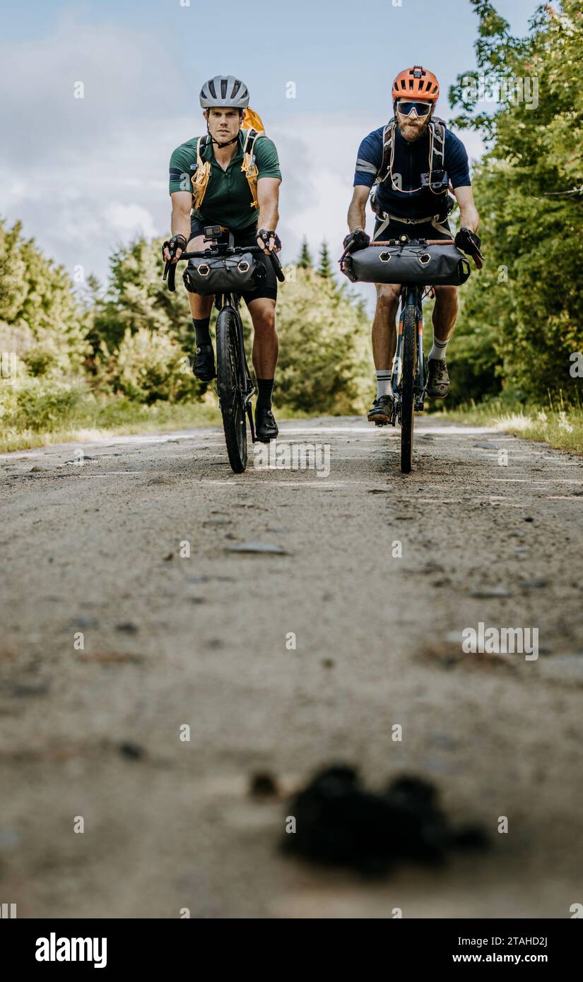 Due uomini cavalcano biciclette da bikepackign molto cariche lungo una strada sterrata, Maine Foto Stock