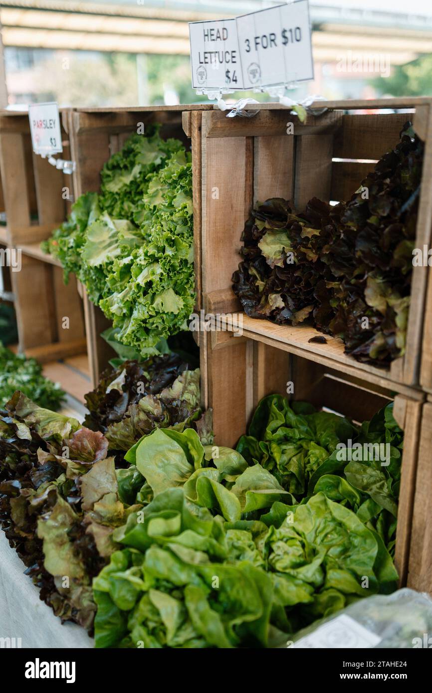 Lattuga e altri ortaggi verdi in vendita sul mercato agricolo Foto Stock