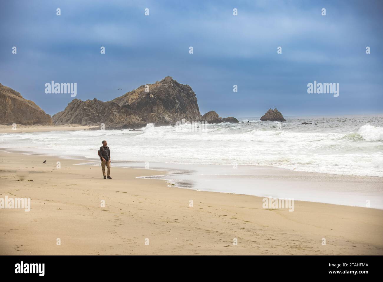 Uomo anziano che cammina sulla spiaggia di Point Reyes National Seashore Foto Stock