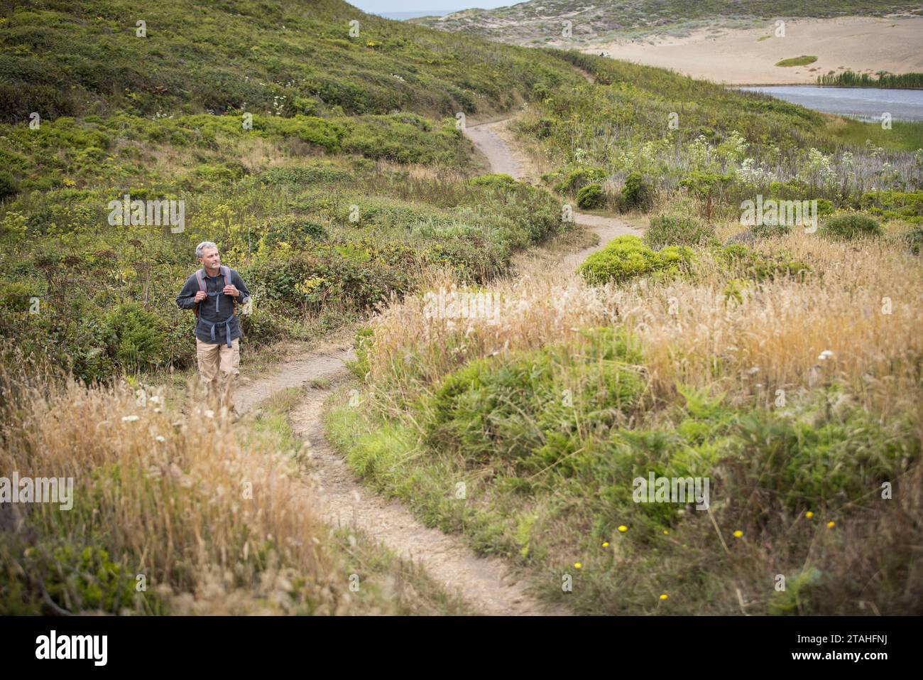 Uomo anziano che fa trekking al Point Reyes National Seashore Foto Stock