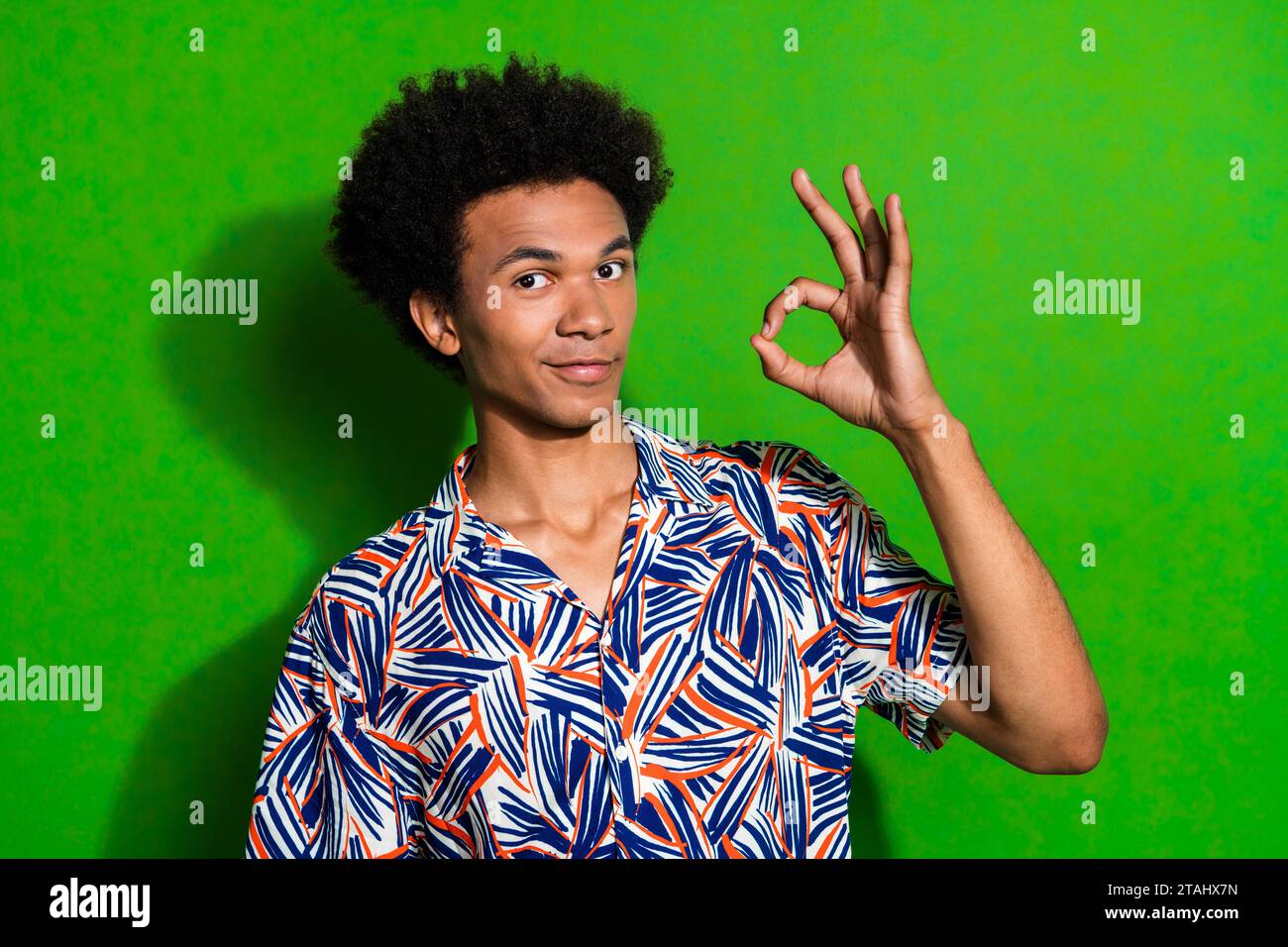 Foto del ragazzo vestito colorato stampa camicia gesto okey sign buon lavoro servizi google per i turisti isolati su sfondo verde Foto Stock