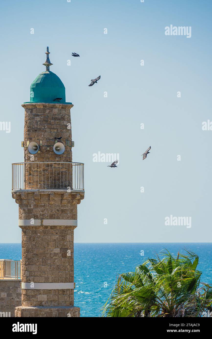 Gli uccelli volano intorno a un minareto vicino al mare Foto Stock
