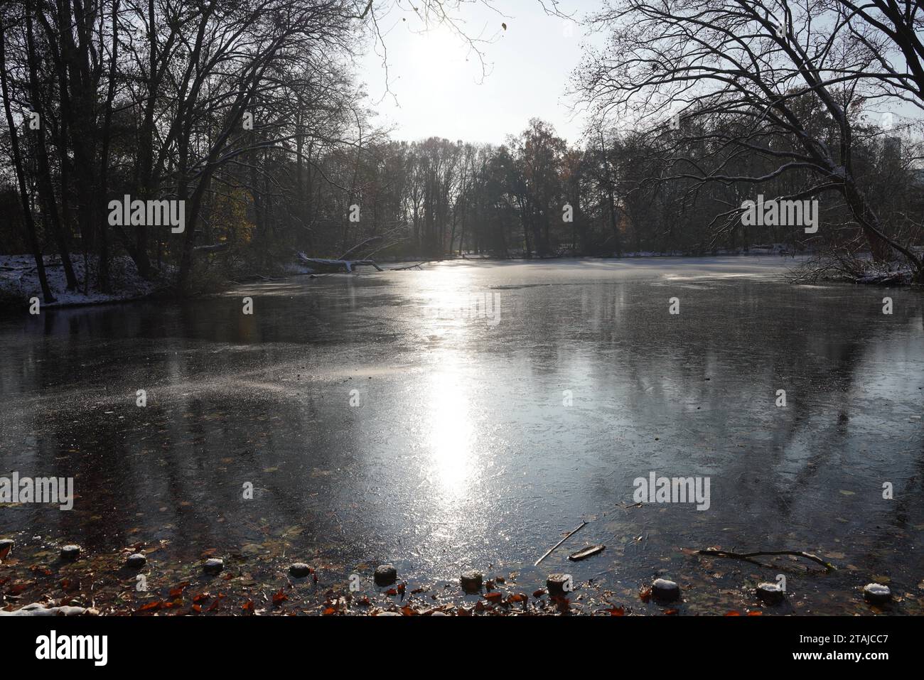 Ein gefrorenere SEE im Tiergarten von Berlin am 01.12.2023 *** Un lago ghiacciato nel Tiergarten di Berlino il 01 12 2023 Credit: Imago/Alamy Live News Foto Stock