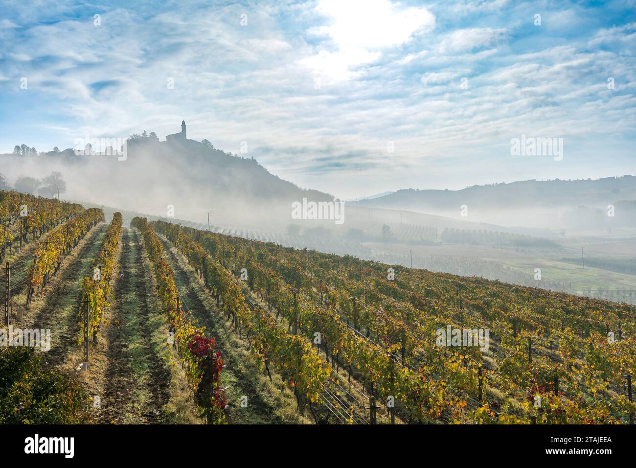 Paesaggio vitivinicolo nelle Langhe (Italia) Foto Stock