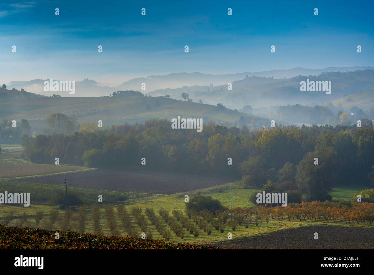 Paesaggio rurale delle Langhe, Piemonte (Italia) Foto Stock Paesaggio rurale delle Langhe, Piemonte (Italia) Foto Stock