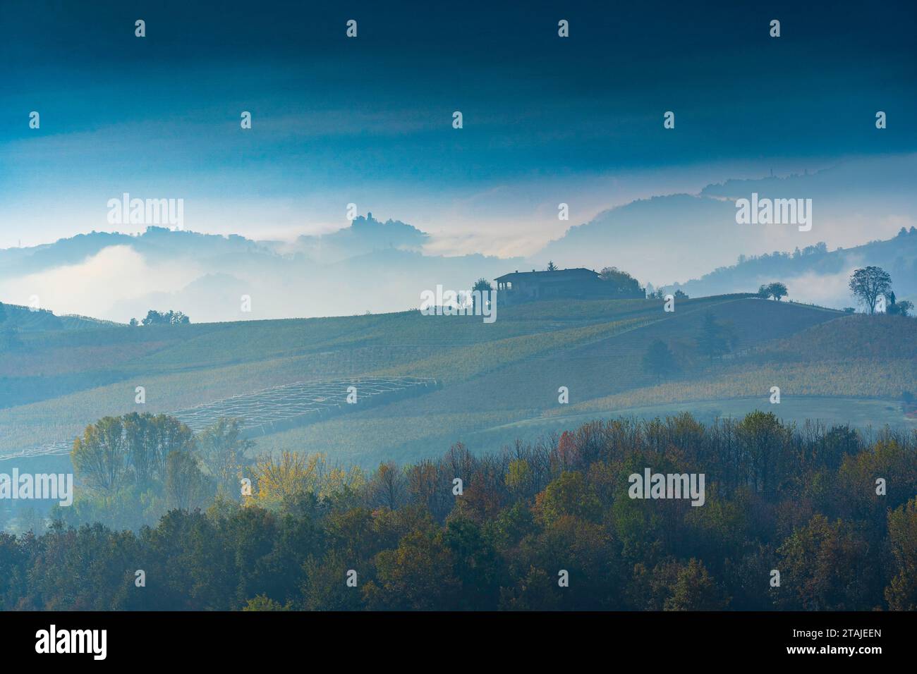 Paesaggio rurale delle Langhe, Piemonte (Italia) Foto Stock