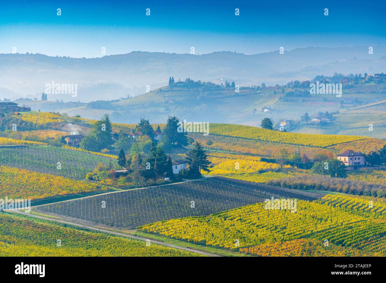Paesaggio rurale delle Langhe, Piemonte (Italia) Foto Stock