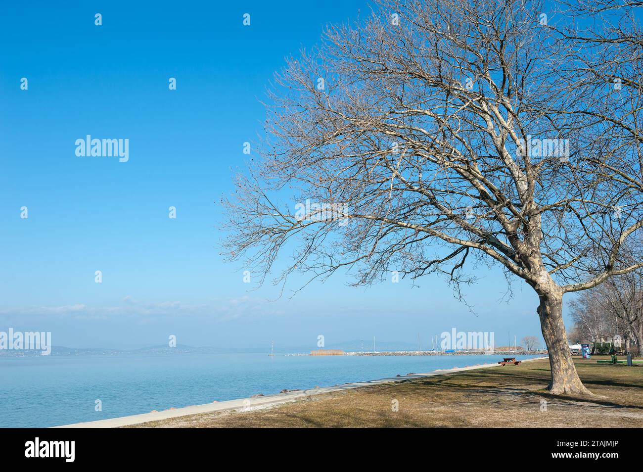 Fonyod, distretto di Fonyód, contea di Somogy, regione della Transdanubia meridionale, Ungheria Foto Stock