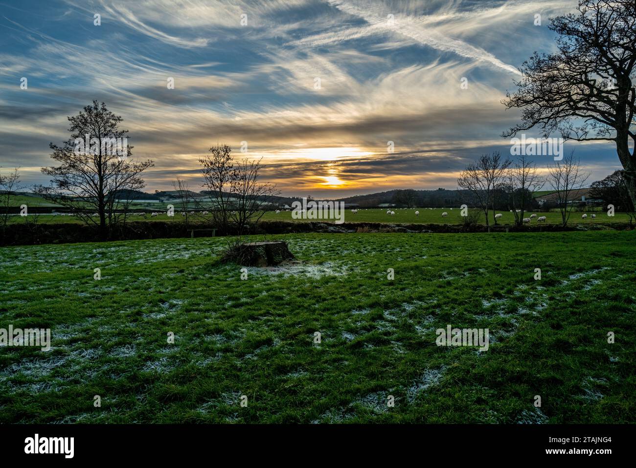 Luce pomeridiana di inverno nella campagna dell'Ayrshire vicino al villaggio di Dalrymple Foto Stock