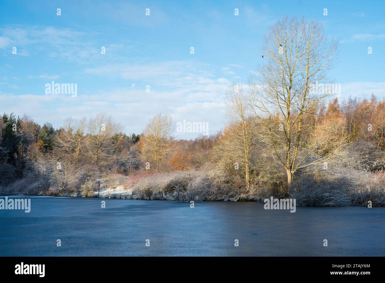 Una vista invernale del laghetto congelato di Pattinson South nel James Steel Park, Washington, Tyne and Wear, Inghilterra, Regno Unito Foto Stock