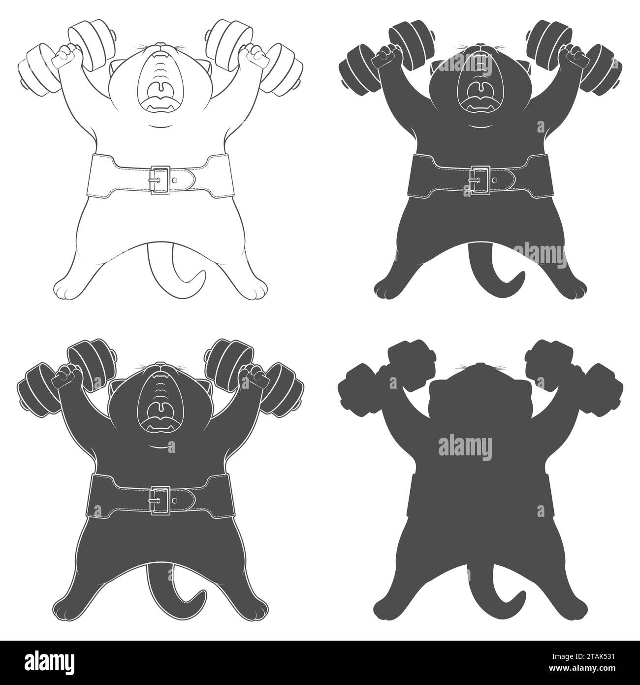 Set di illustrazioni in bianco e nero con simpatico gatto con manubri e cintura atletica. Oggetti vettoriali isolati su sfondo bianco. Illustrazione Vettoriale
