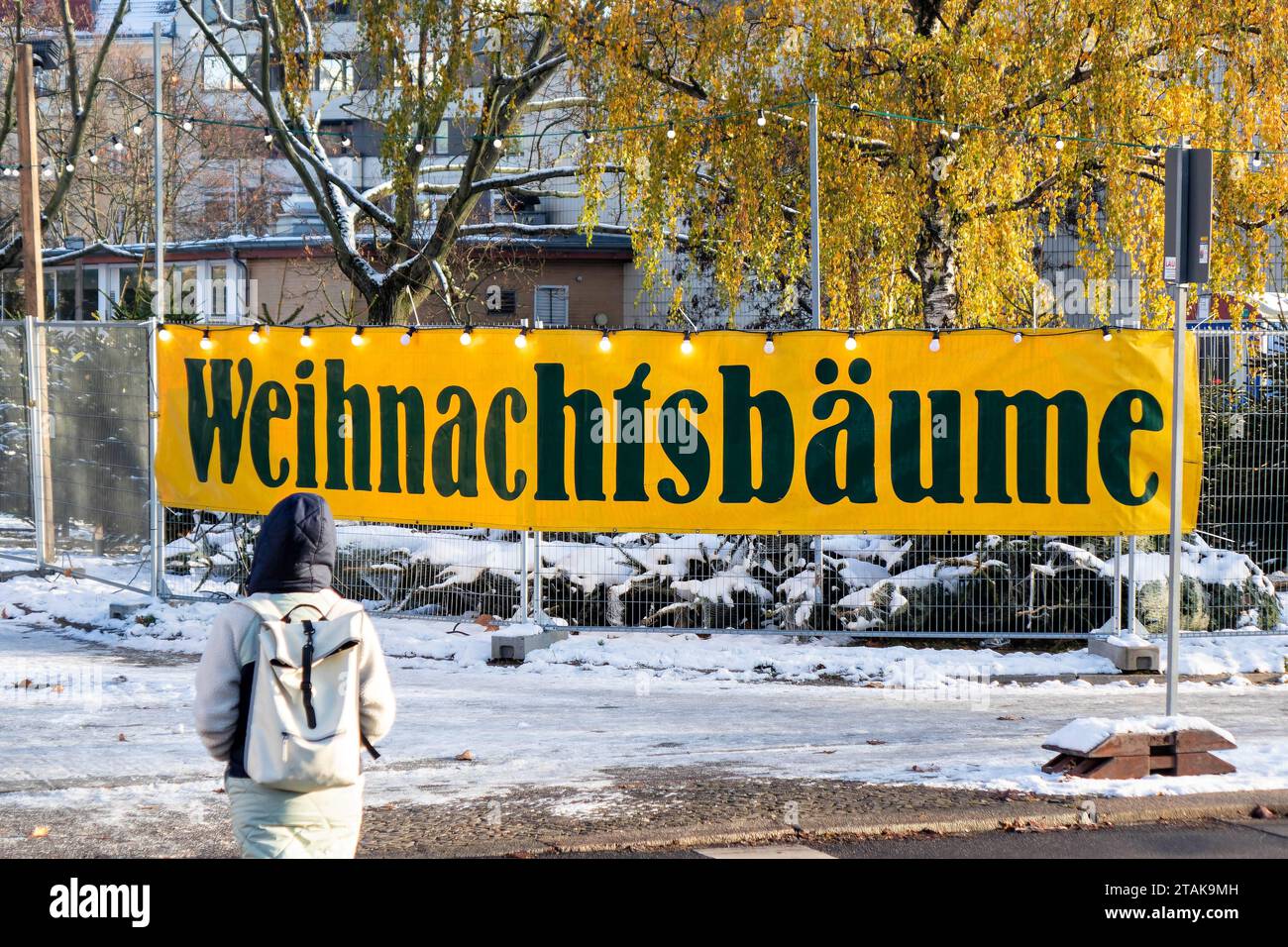 01.12.2023, Berlin, Verkauf von Weihnachtsbäume *** 01 12 2023, Berlin, sale of Christmas Trees Credit: Imago/Alamy Live News Foto Stock