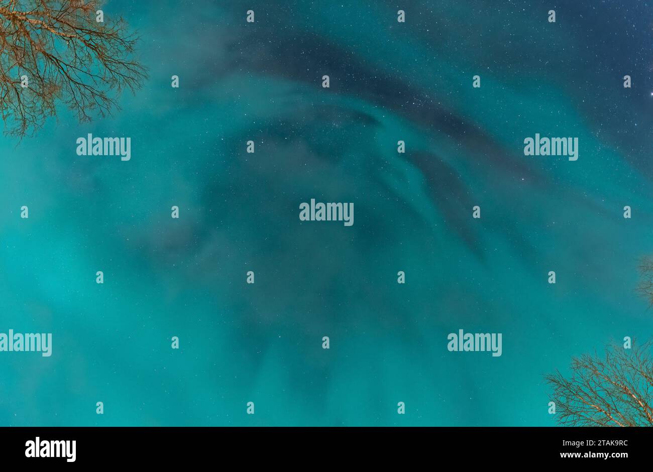 Cielo notturno con aurora boreale, foto in basso, cime di betulla. Semaforo verde di Aurora Borealis Foto Stock