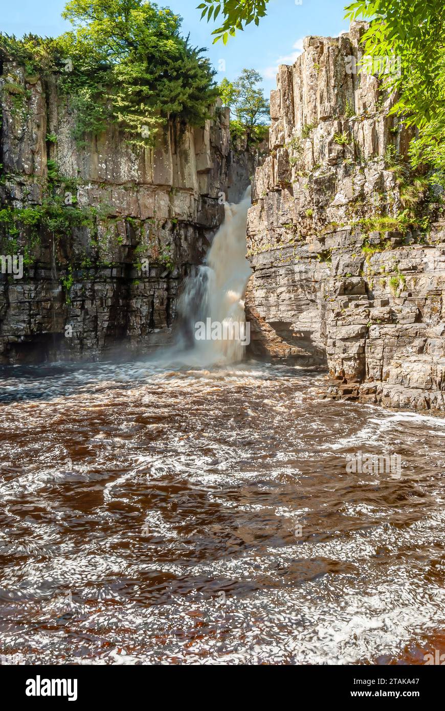 High Force, la cascata più alta d'Inghilterra a Middleton-in-Teesdale, Inghilterra settentrionale Foto Stock