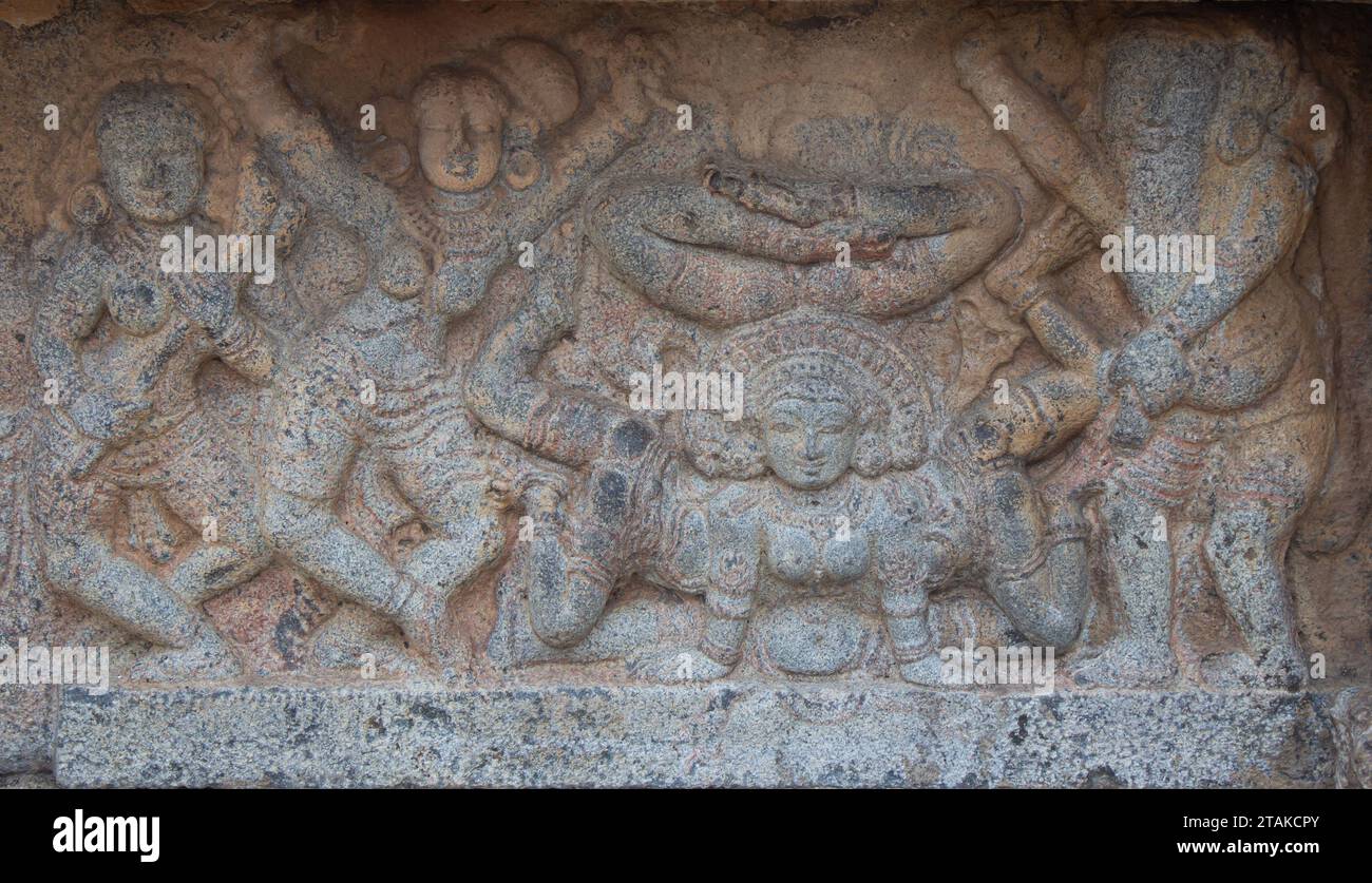 Squisite incisioni sulle pareti del Tempio di Airavatesvara situato nella città di Darasuram a Kumbakonam, nel distretto di Thanjavur nello stato dell'India meridionale di T Foto Stock