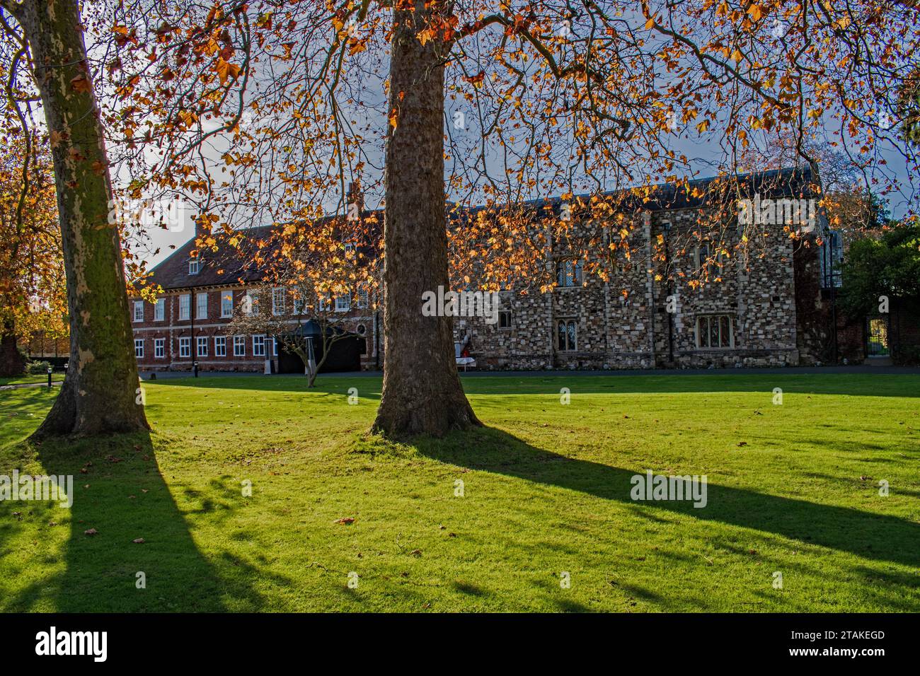 Hall Place in autunno, Bexley, Kent, Inghilterra Foto Stock Hall Place in autunno, Bexley, Kent, Inghilterra Foto Stock