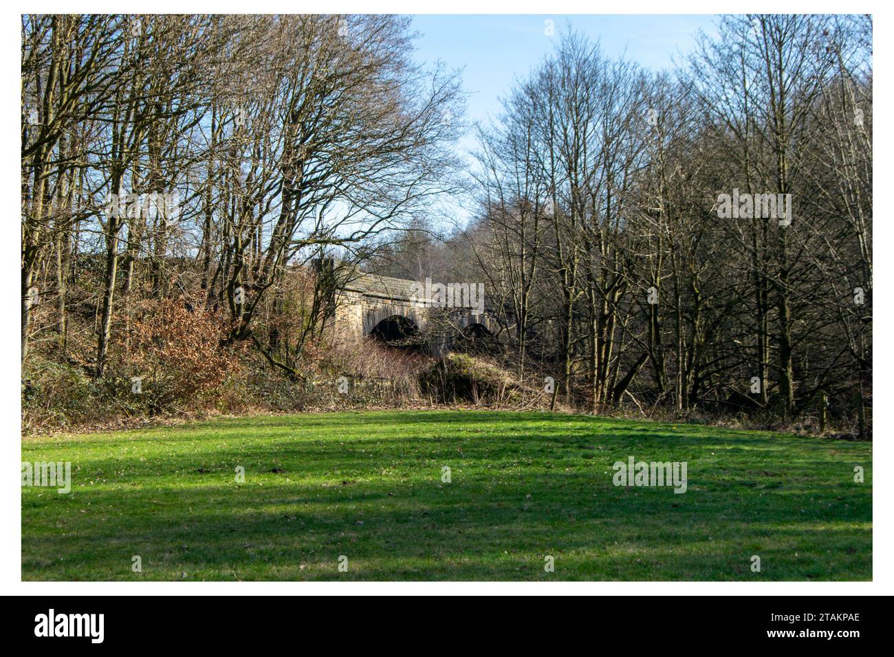 Ponte ferroviario a Copley Foto Stock