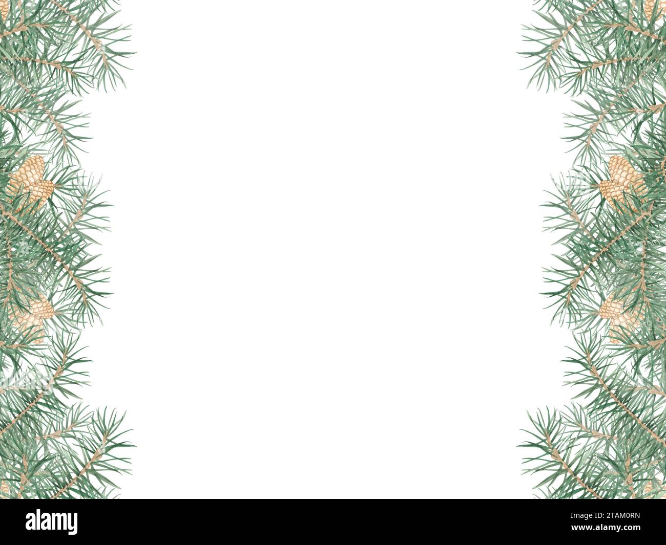 Una cornice quadrata con rami di pino e coni su sfondo bianco. Illustrazione acquerello. Albero di Natale, foresta di conifere, alberi sempreverdi, ago Foto Stock