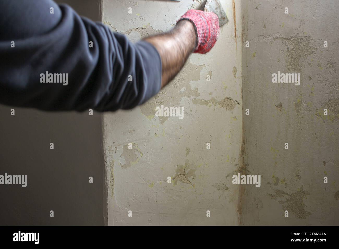 Prima del pennello: Mano con guanti utilizzando la spatola per preparare la superficie della parete Foto Stock