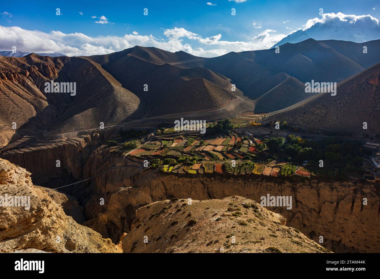 Colture di orzo raccolto ad alta quota e frutteti di apicoltura su pendii terrazzati sopra la Gola di Kali Gandaki - Distretto di Mustang, Nepal Foto Stock