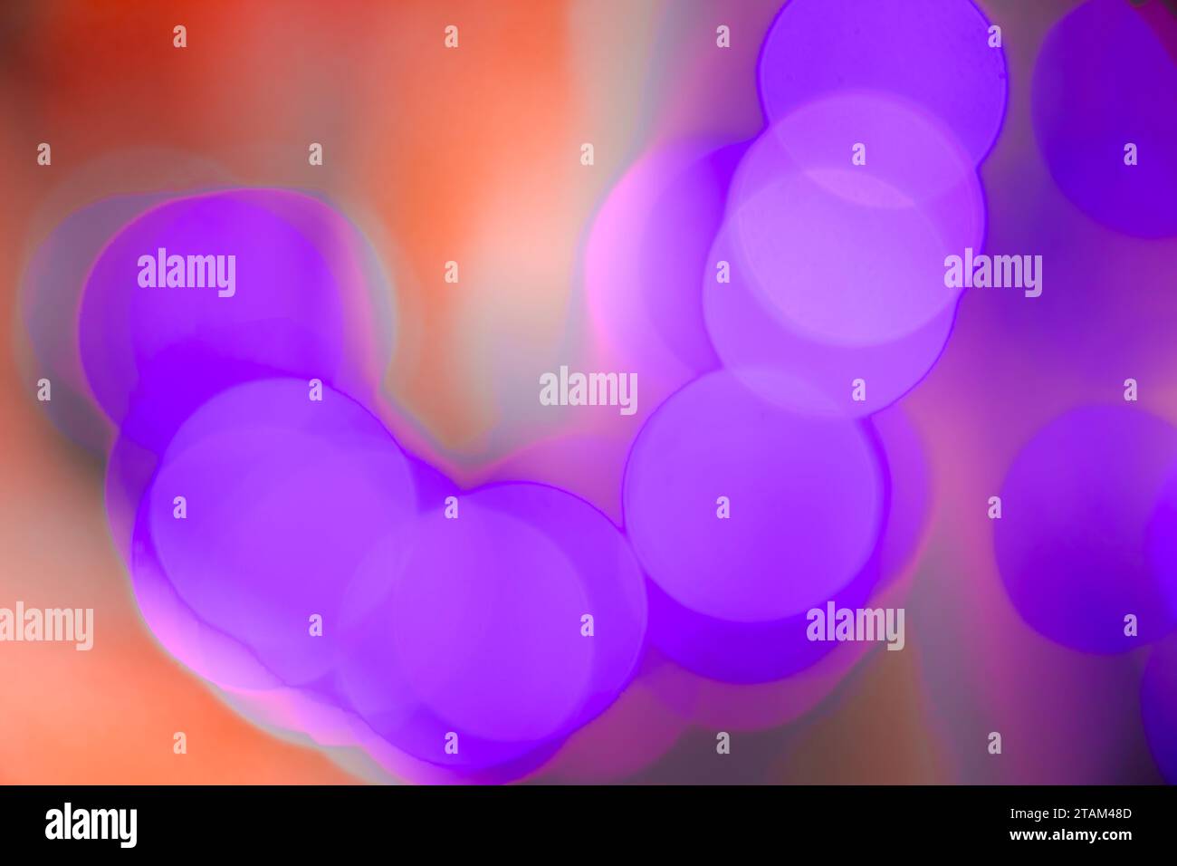 Cerchi luminosi abstratti e sfocati di colore viola e bokeh che si illuminano sullo sfondo di colore arancio-pesca, primo piano Foto Stock Cerchi luminosi abstratti e sfocati di colore viola e bokeh che si illuminano sullo sfondo di colore arancio-pesca, primo piano Foto Stock