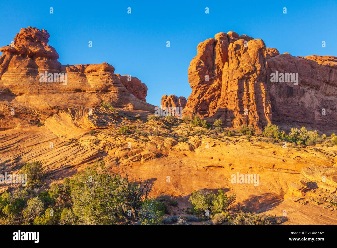 Arenaria formazioni rocciose nella luce della sera in Arches National Park nello Utah. Foto Stock