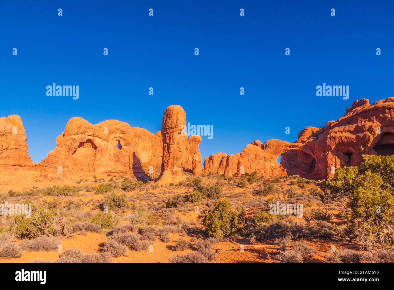 Sfilata di formazioni rocciose di arenaria degli Elefanti all'alba nel Parco Nazionale di Arches nello Utah. Foto Stock