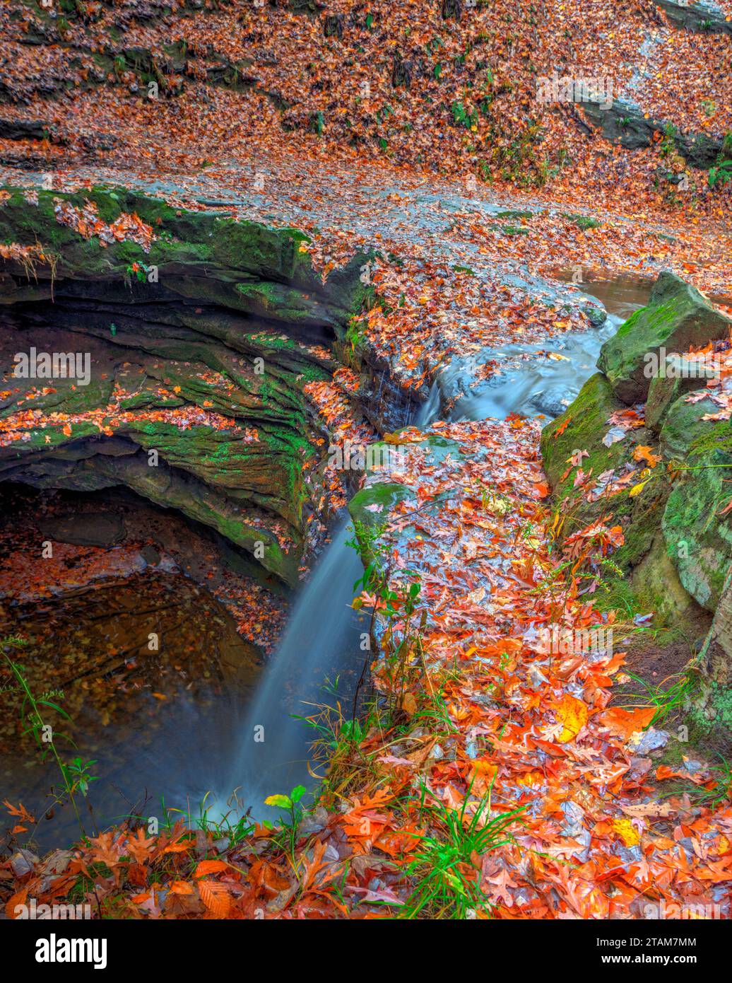 Vista delle cascate Dundee in autunno, Beach City Wilderness area, Ohio Foto Stock