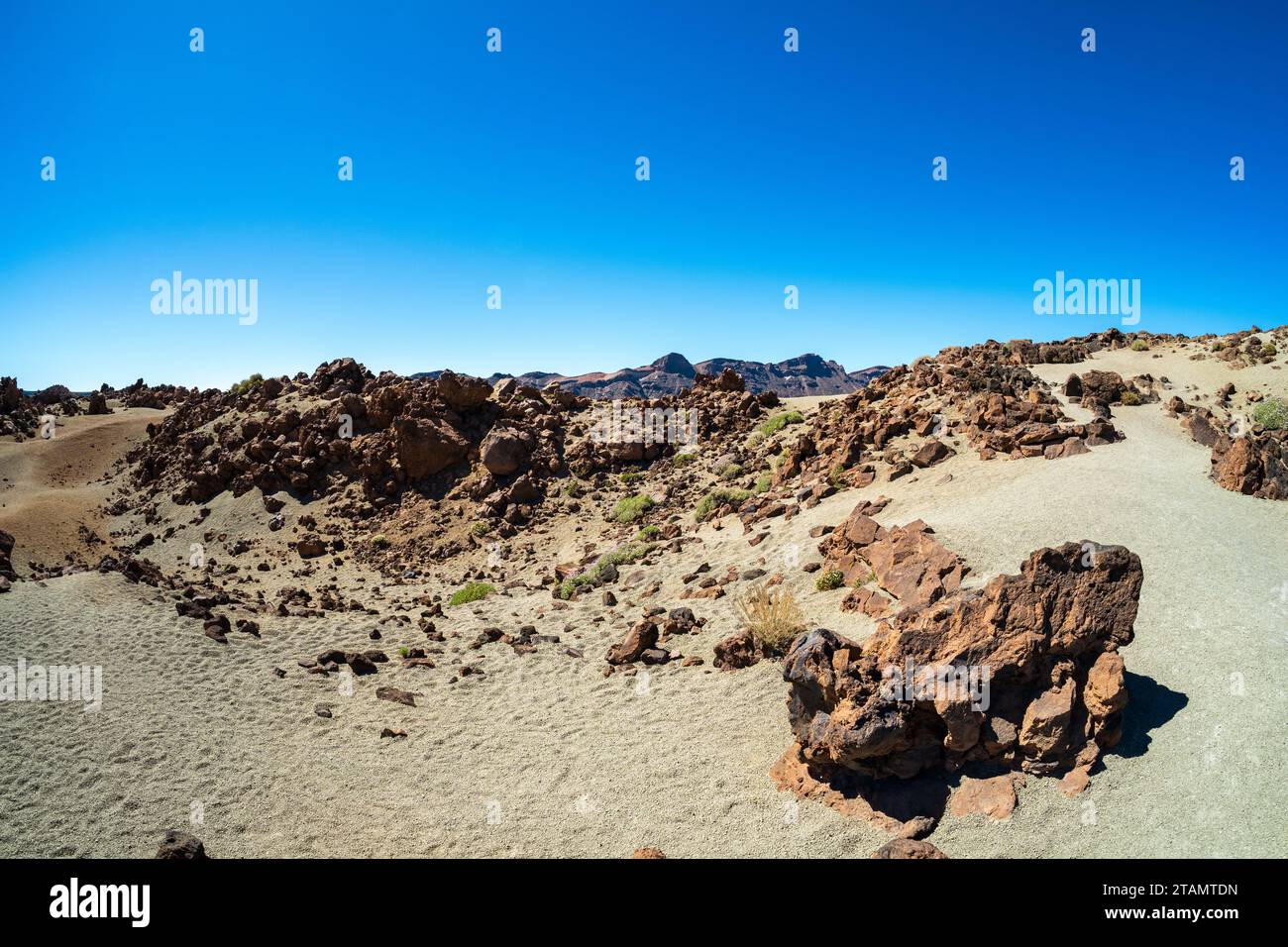 Paesaggio desertico dalla caldera di Las Canadas del vulcano Teide. Mirador (punto di vista) Minas de San Jose sur. Tenerife. Isole Canarie. Spagna. Foto Stock