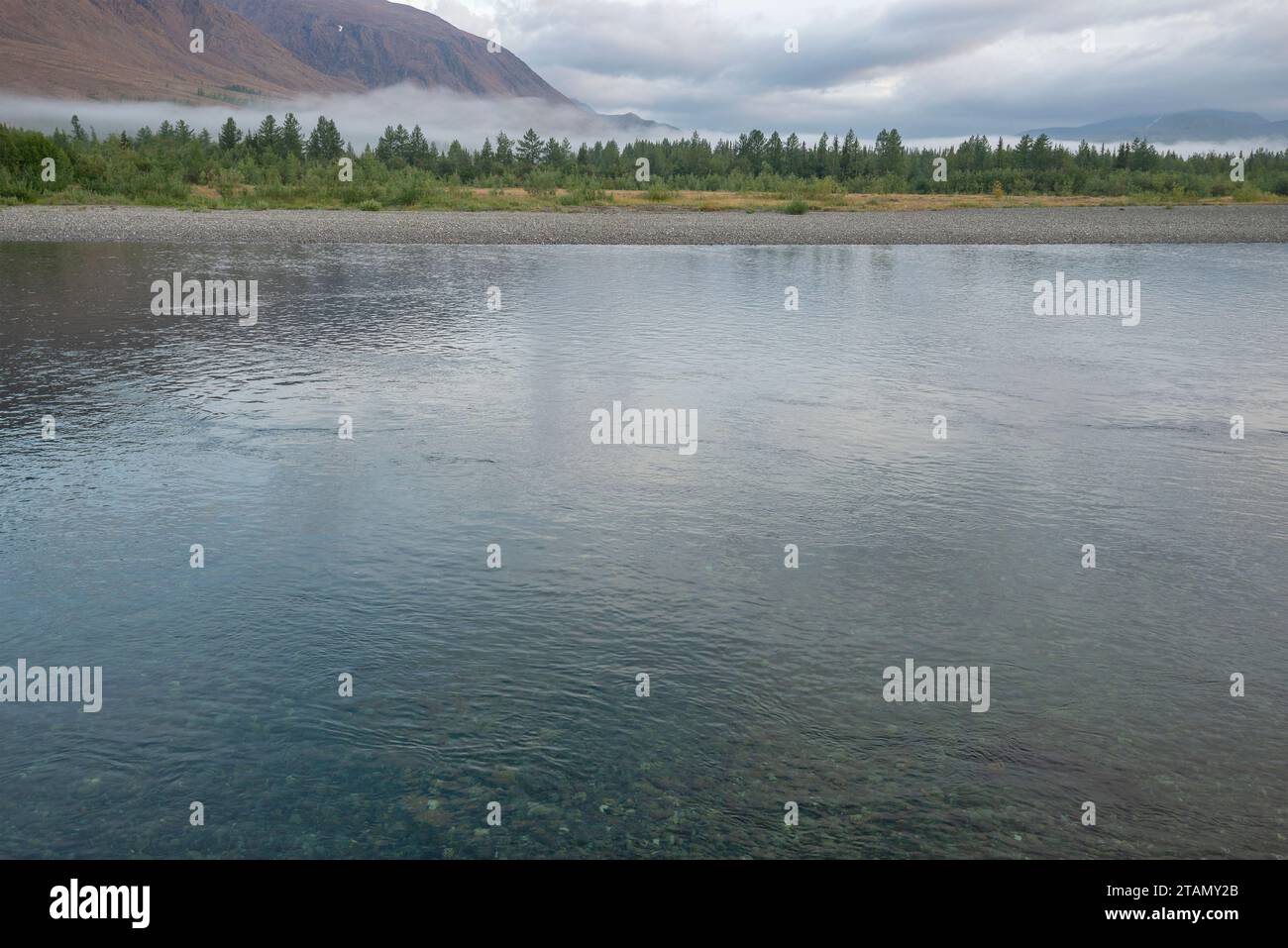 Mattina di agosto sul fiume SOB. Polar Ural, Russia Foto Stock