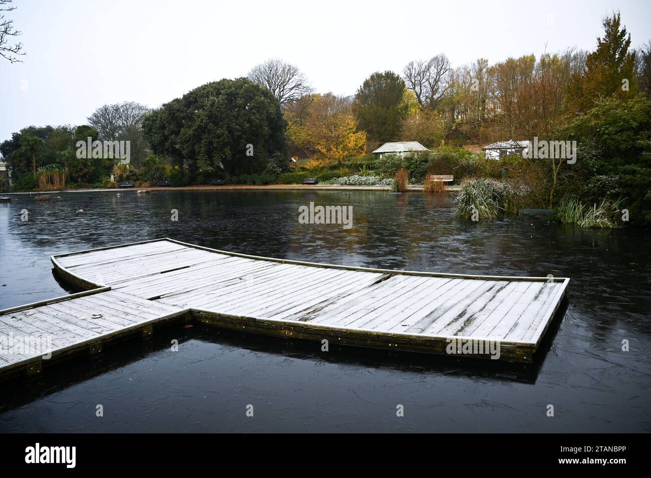 Brighton Regno Unito 2 dicembre 2023 - Una scena ghiacciata e ghiacciata attraverso lo stagno del Queens Park a Brighton dopo un'altra notte ghiacciata in tutto il Regno Unito: Credit Simon Dack / Alamy Live News Foto Stock