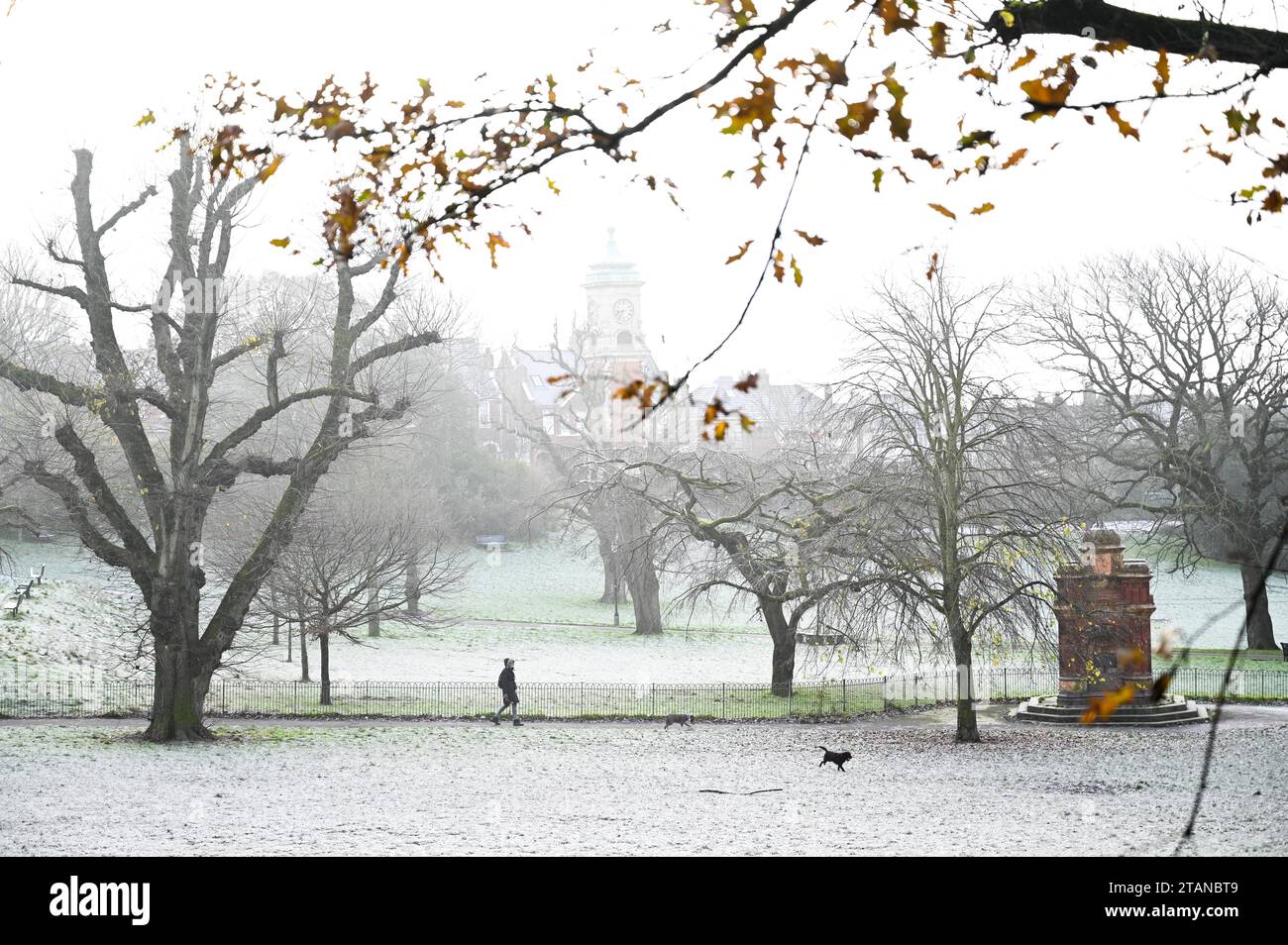 Brighton Regno Unito 2 dicembre 2023 - gli amanti delle passeggiate con i cani si godono una mattinata gelata nel Queens Park Brighton dopo un'altra notte di freddo in tutto il Regno Unito: Credit Simon Dack / Alamy Live News Foto Stock