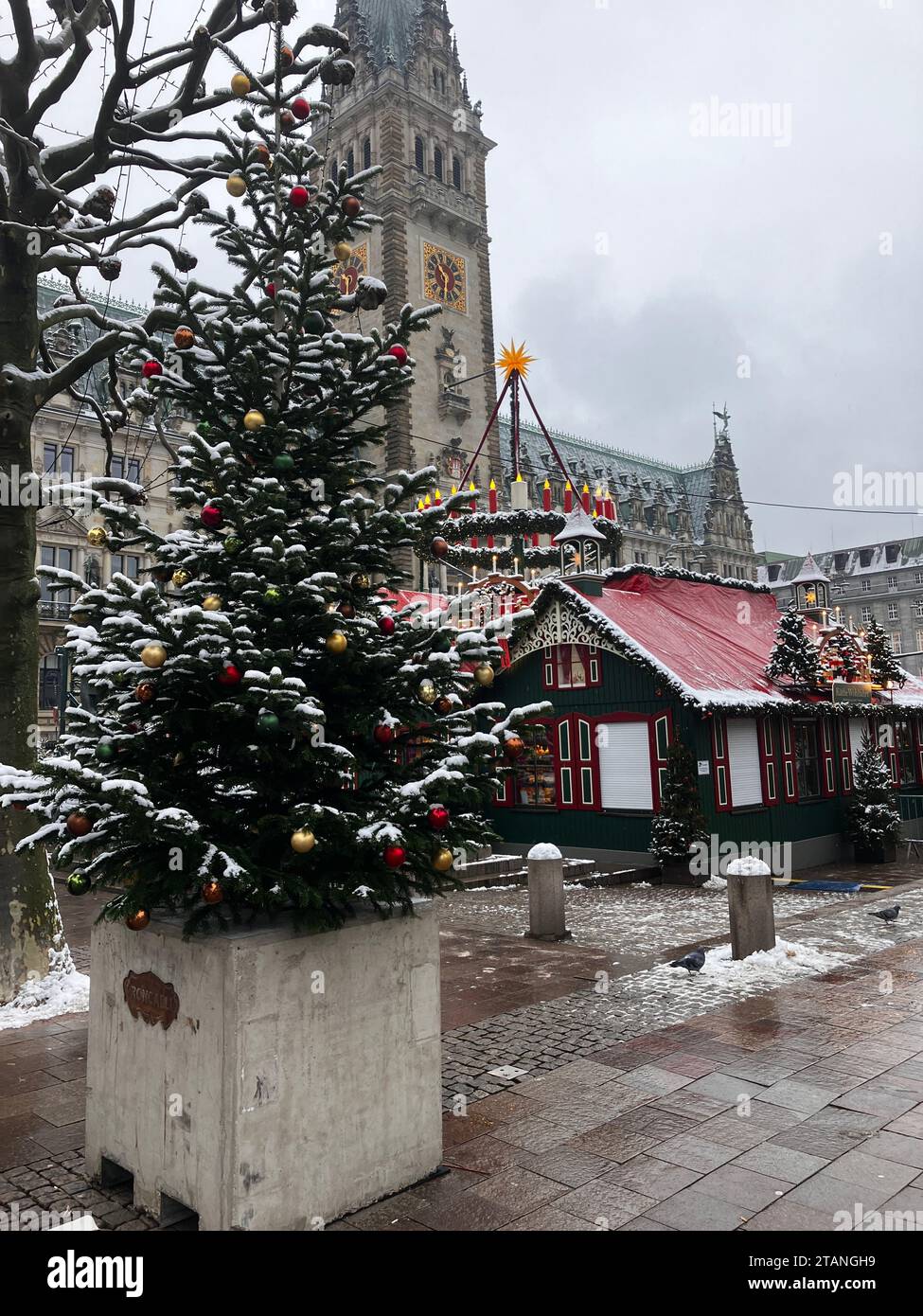 Amburgo, Germania. 2 dicembre 2023. Un blocco di cemento con un albero di Natale si trova di fronte a un mercatino di Natale. Dopo gli ultimi arresti per presunti attacchi terroristici ai mercatini di Natale, il Ministero degli interni di Amburgo ritiene che il livello di minaccia rimanga elevato. Dopo l'attacco di camion alla Breitscheidplatz di Berlino nel dicembre 2016, che ha causato la morte di dodici persone, i mercatini di Natale di Amburgo sono stati protetti da blocchi di cemento. Crediti: Thomas Müller/dpa/Alamy Live News Foto Stock