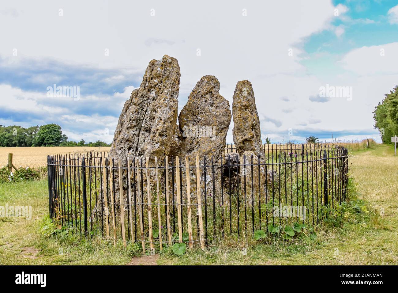 Rollright Stones, monumenti megalitici in pietra sul confine tra Oxfordshire e Warwickshire. Foto Stock
