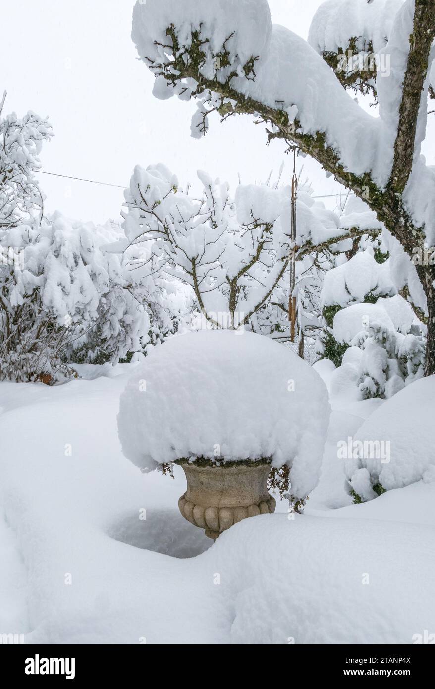 Giardino innevato in inverno con forti nevicate, rischio di rottura della neve Foto Stock